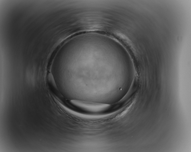 X0000090431457200707131152