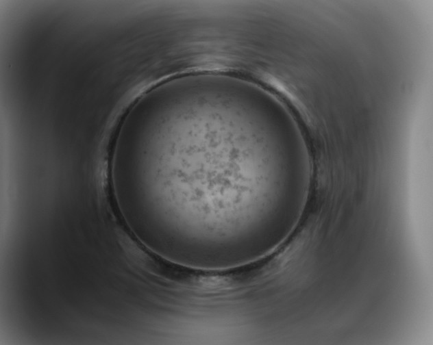 X0000090431459200707131152