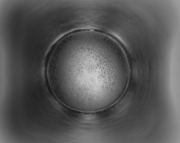 X0000090431460200707131152