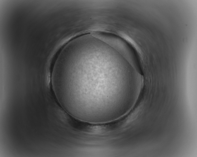 X0000090431461200707131152