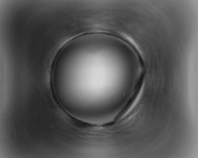 X0000090431463200707131152