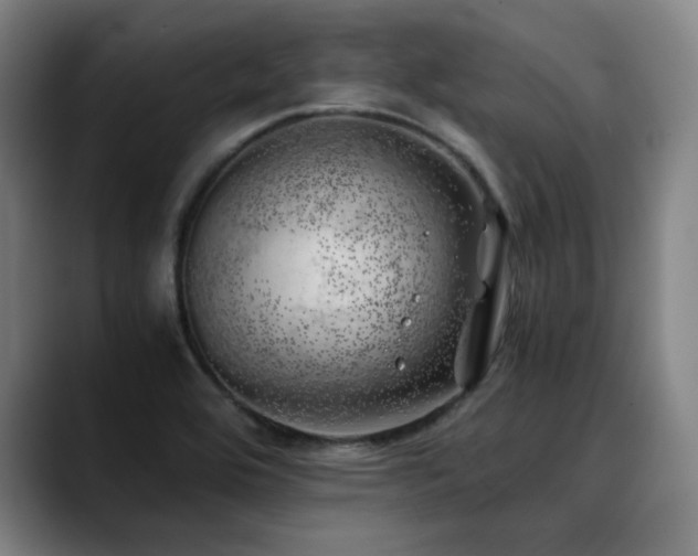 X0000090431464200707131152