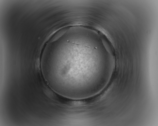 X0000090431465200707131152