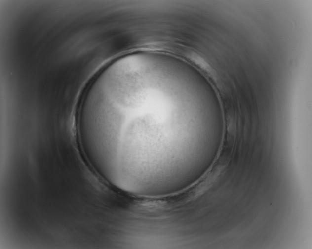 X0000090431466200707131152