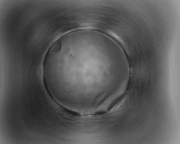 X0000090431467200707131152