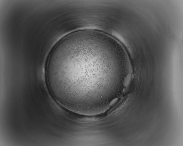 X0000090431468200707131152