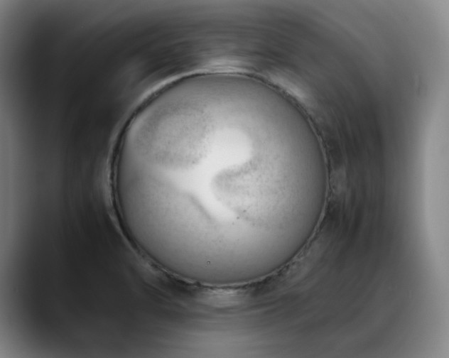X0000090431470200707131152