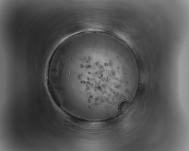 X0000090431471200707131152