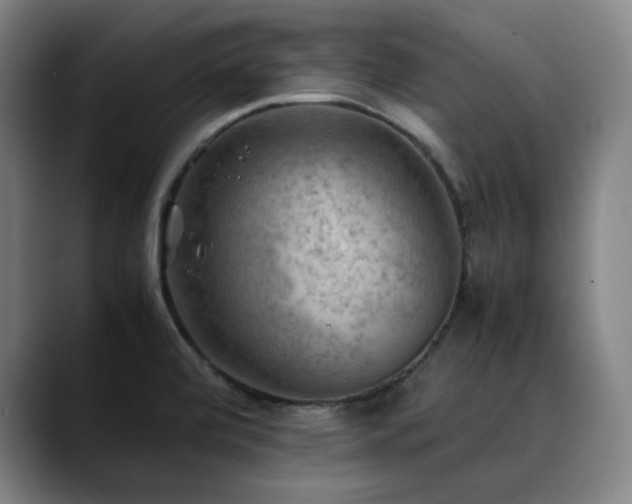 X0000090431472200707131152