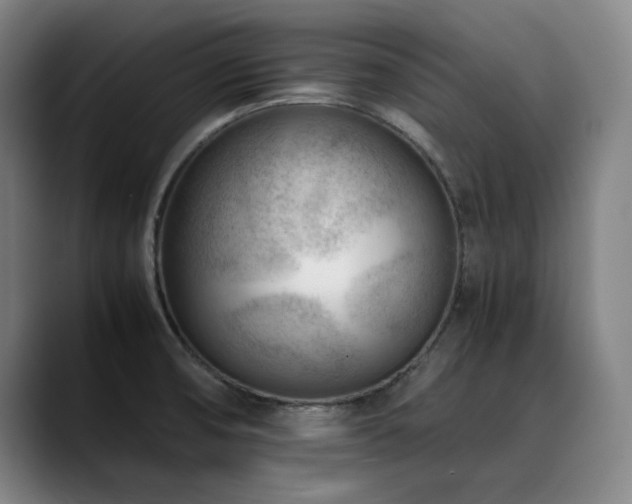 X0000090431474200707131152