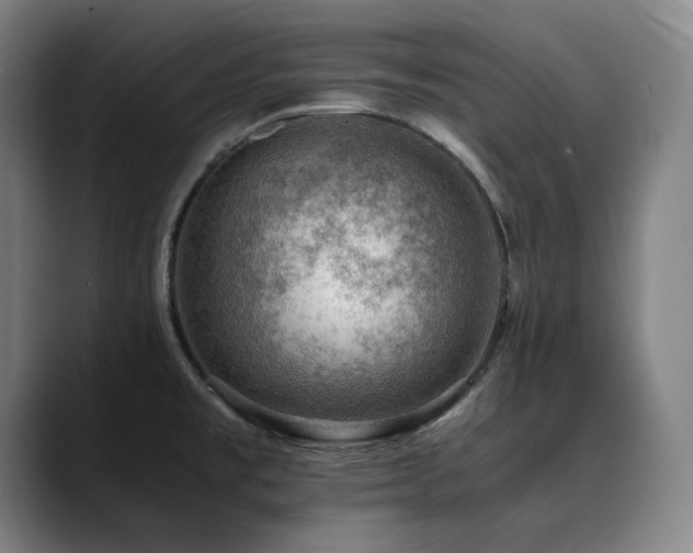 X0000090431477200707131152