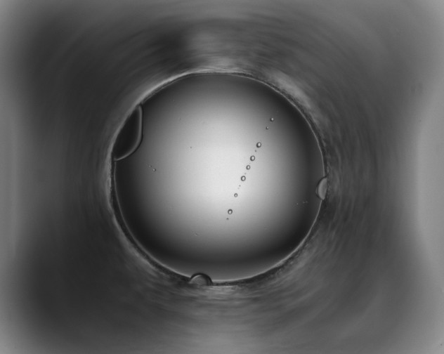 X0000090431479200707131152