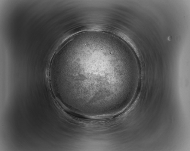 X0000090431481200707131152