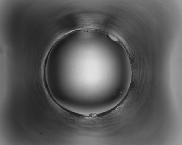 X0000090431483200707131152