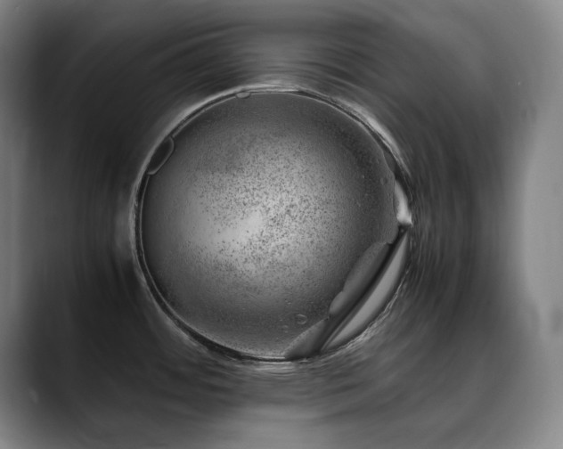 X0000090431484200707131152