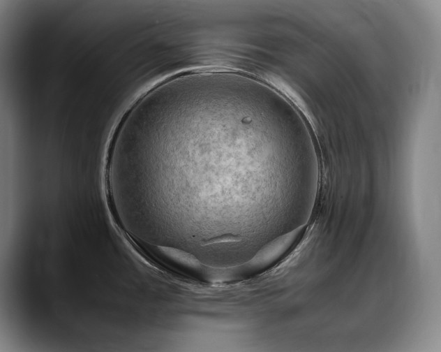 X0000090431485200707131152