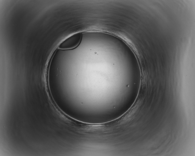 X0000090431486200707131152