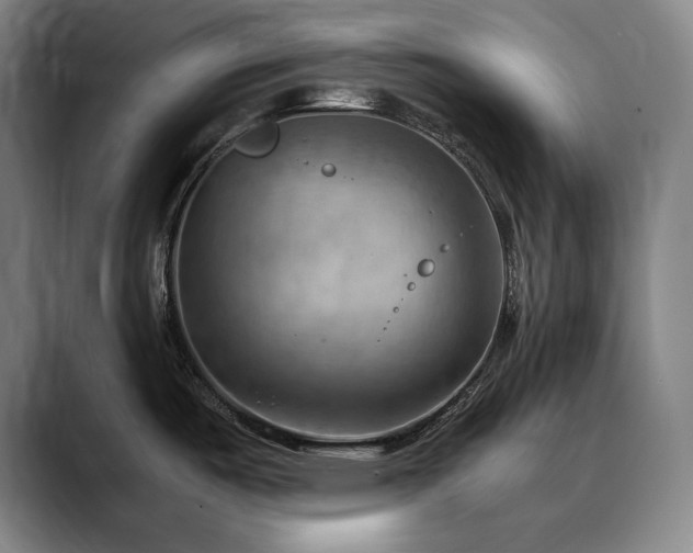 X0000090431487200707131152
