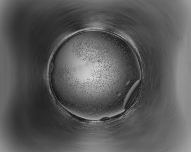 X0000090431488200707131152