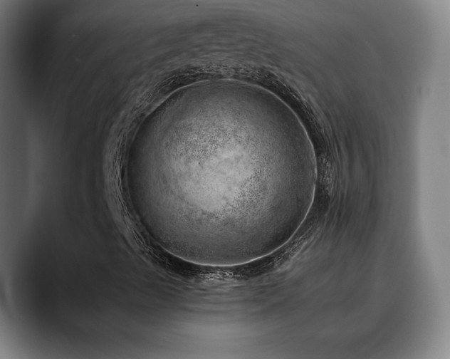 X0000090431489200707131152