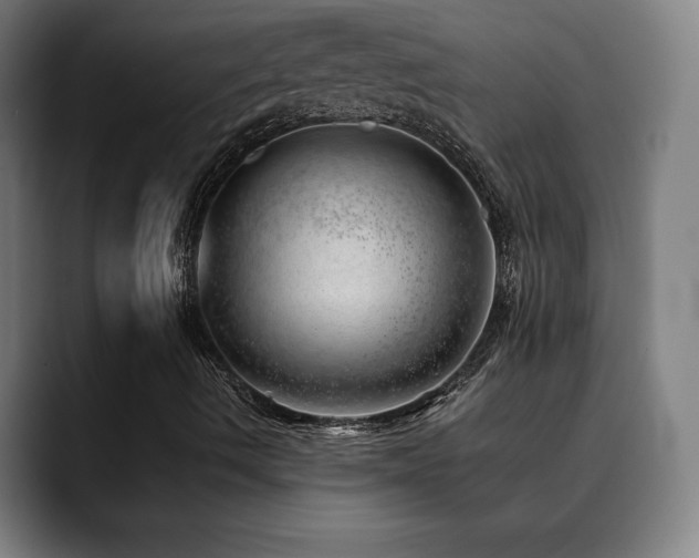 X0000090431490200707131152