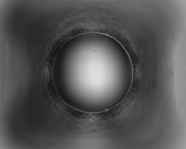 X0000090431493200707131152