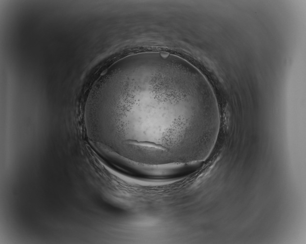 X0000090431494200707131152