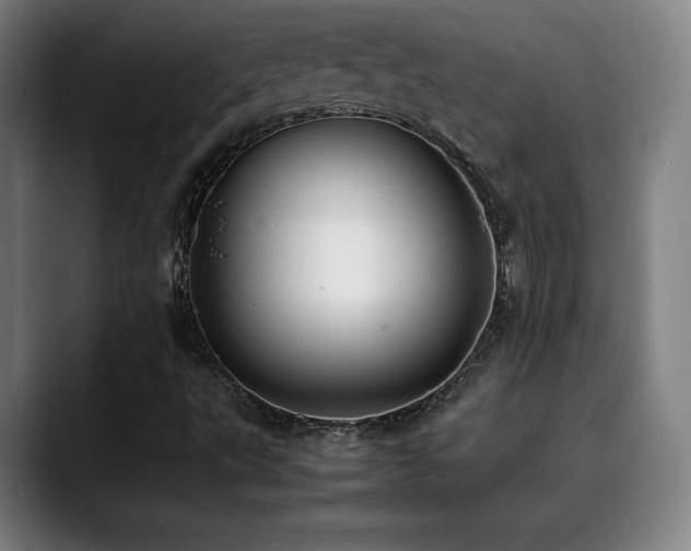 X0000090431495200707131152
