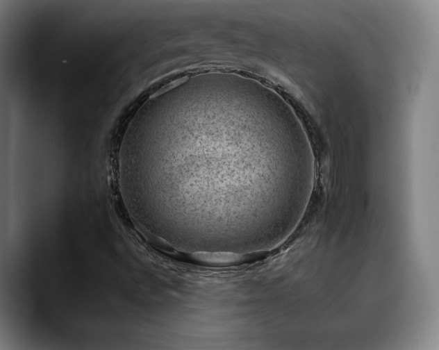 X0000090431496200707131152