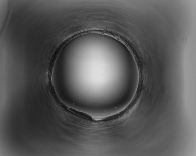X0000090431497200707131152