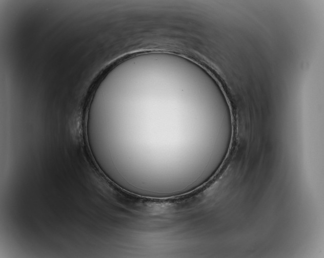X0000090431498200707131152