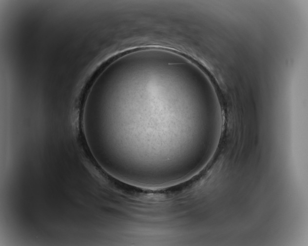 X0000090431503200707131152