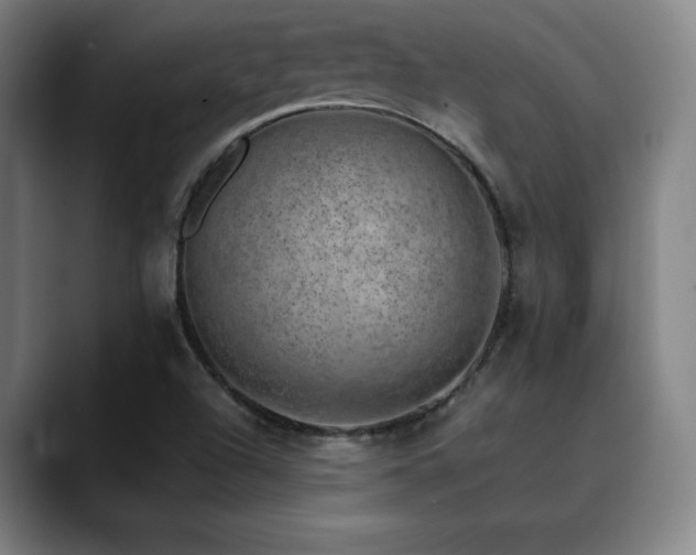 X0000090431504200707131152