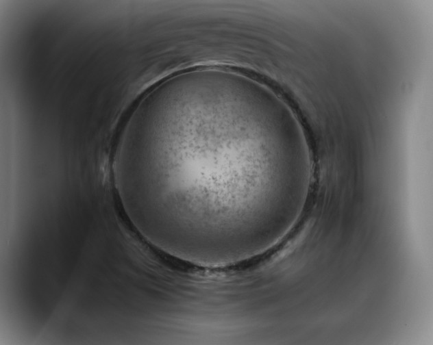 X0000090431505200707131152
