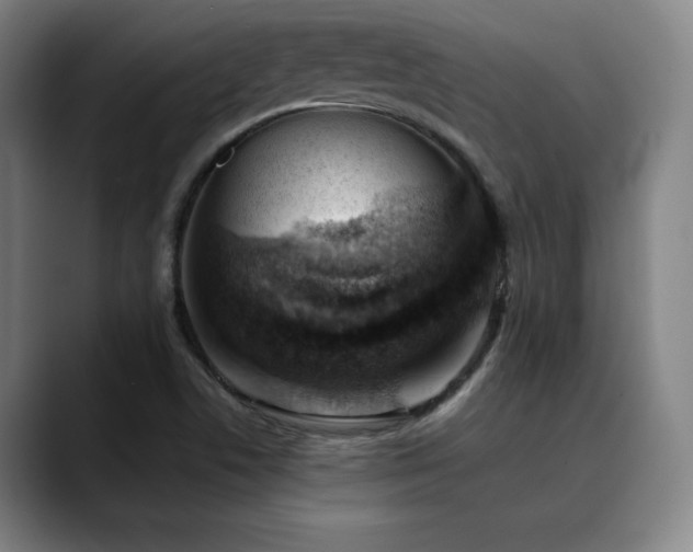 X0000090431506200707131152