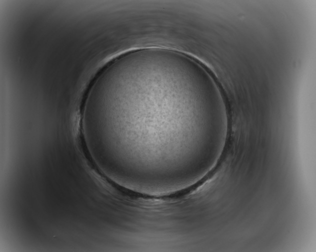 X0000090431507200707131152