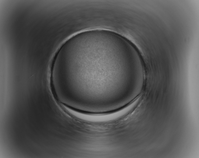 X0000090431508200707131152