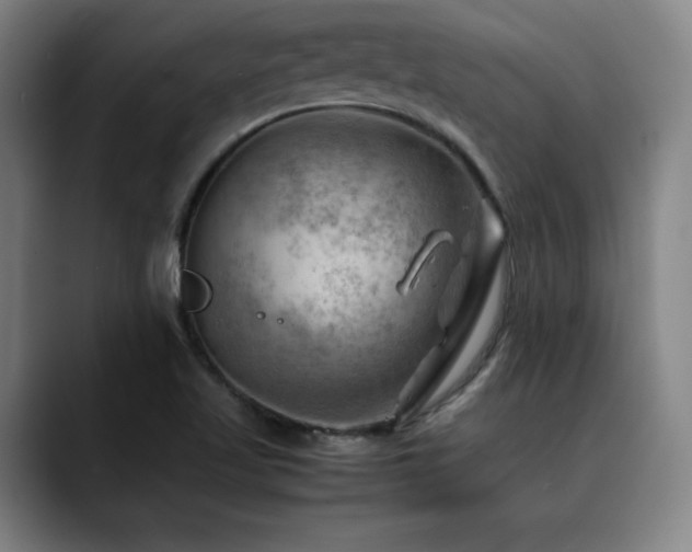 X0000090431509200707131152
