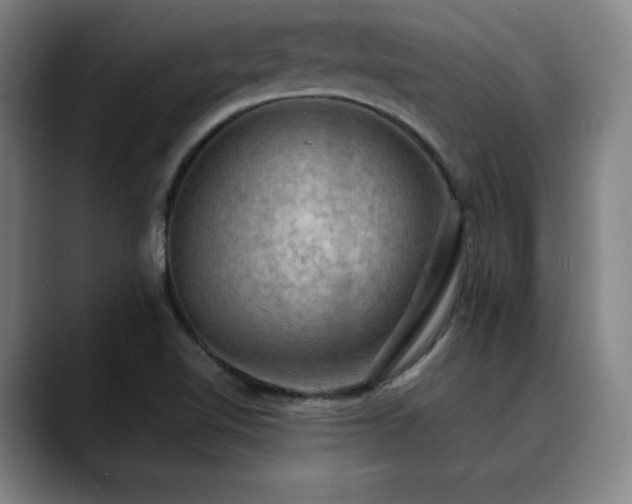 X0000090431510200707131152