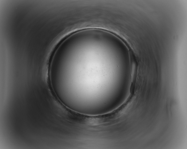 X0000090431511200707131152
