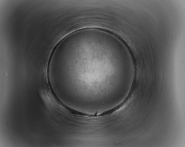 X0000090431513200707131152
