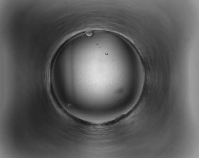 X0000090431515200707131152