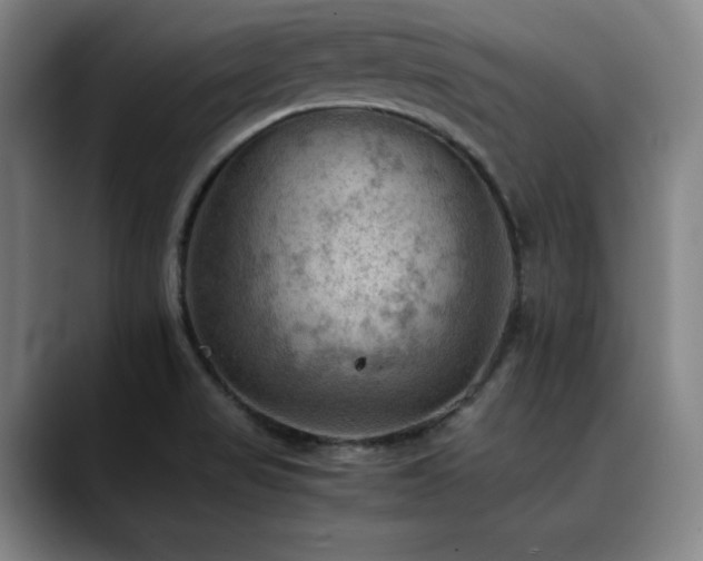 X0000090431517200707131152