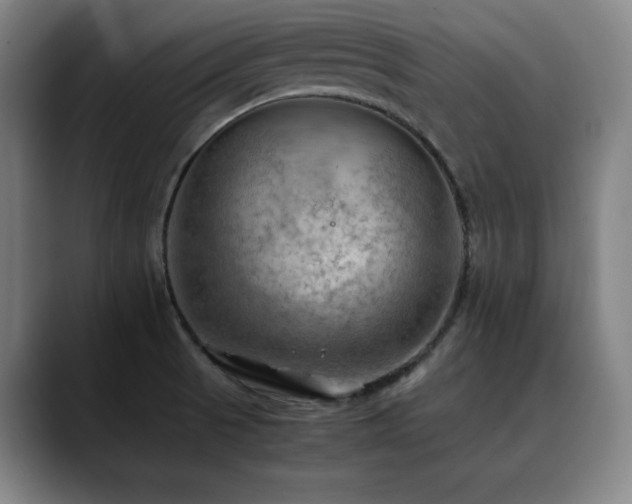 X0000090431521200707131152