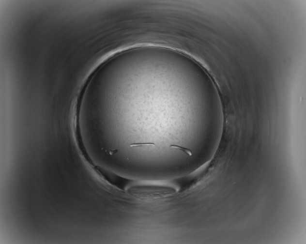 X0000090431523200707131152