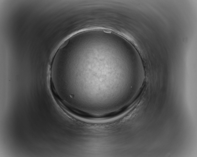 X0000090431524200707131152
