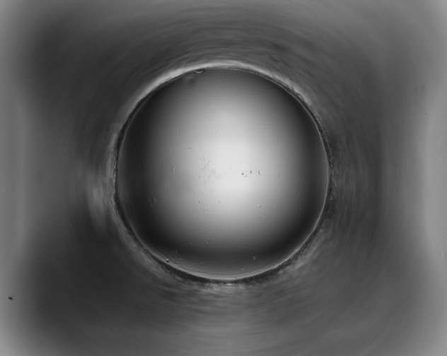 X0000090431526200707131152