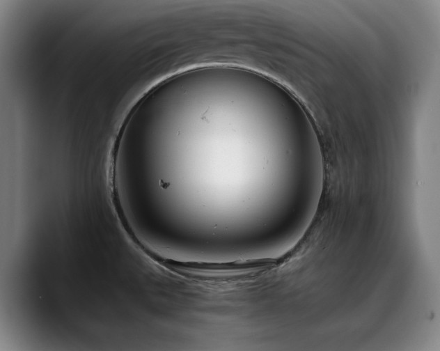 X0000090431527200707131152