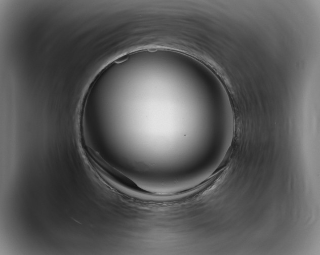 X0000090431530200707131152