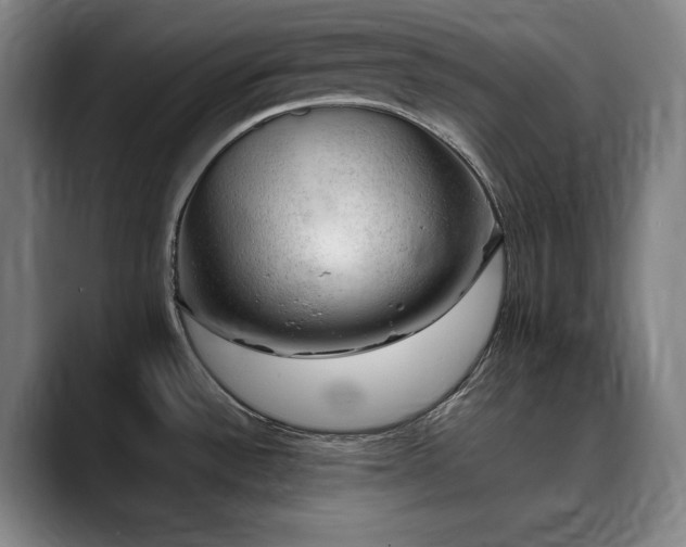 X0000090431532200707131152